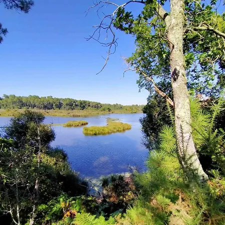 Panzió La De Seraphine 3*