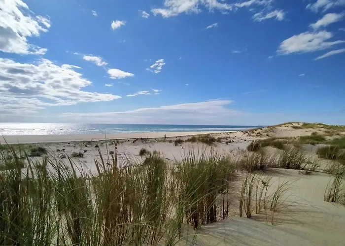 לינה וארוחת בוקר La De Seraphine ביסקארוס