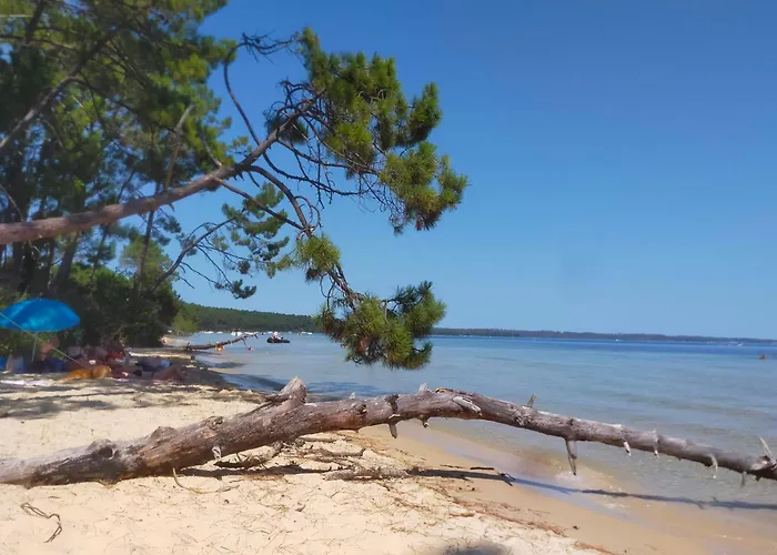 La De Seraphine לינה וארוחת בוקר